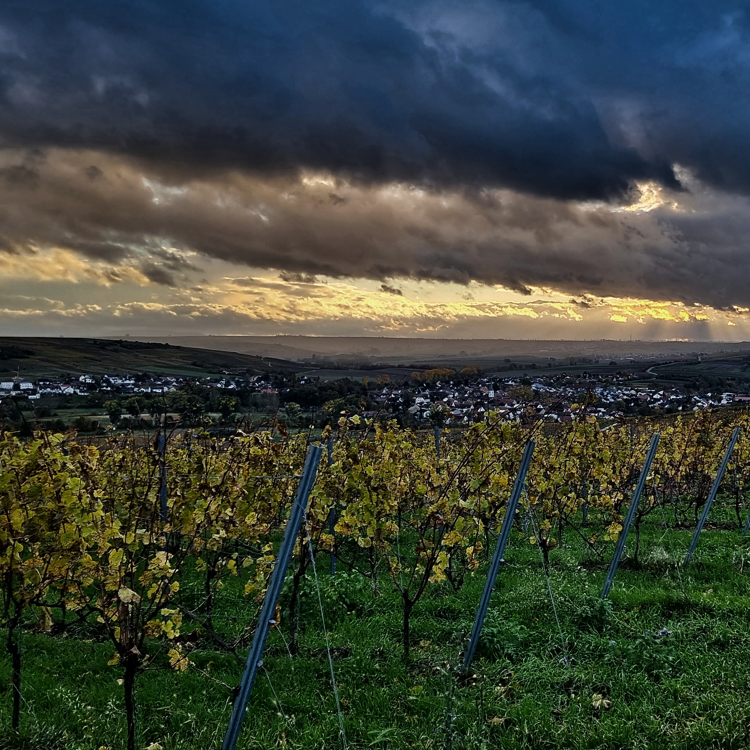 Header Background Small