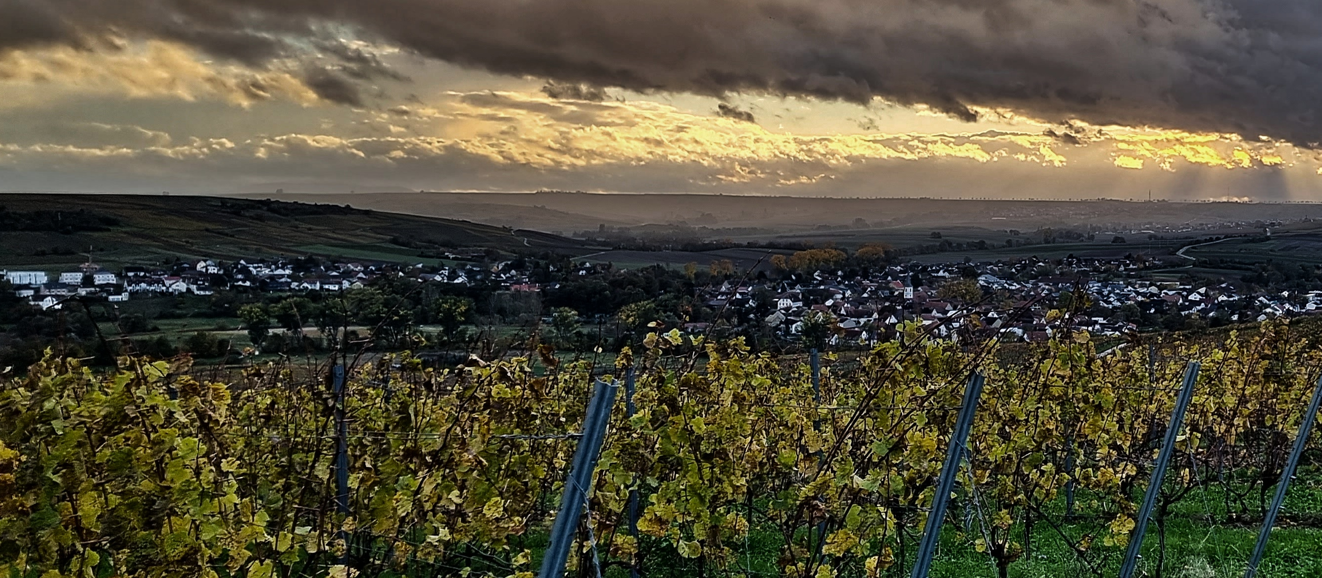 Header Background Large